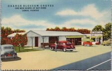 Vintage 1950 LARGO, Florida Postcard 