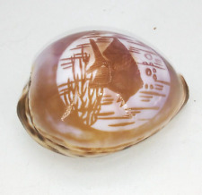 Hand etched Oriental Asian Cowrie Tiger Shell Tropical Angelfish sea life Design picture