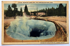 Morning Glory Pool Yellowstone National Park Wyoming WY Vintage Linen Postcard picture