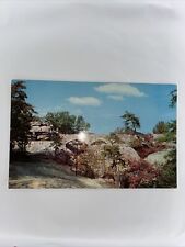 Enchanted Trail Antique Unposted Curteichcolor Art Creation Postcard Rock City picture