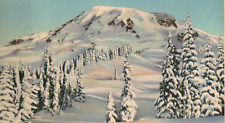 C1930s Rainier National Park WA Ski Sport Mountain Winter Snow Vintage Postcard picture