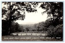 1931 View From North Road Cabin Lowell Park Dixon IL RPPC Photo Vintage Postcard picture