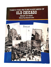 Picture Postcards of Old Chicago 24 Ready To Mail Views Edited by David Lowe picture
