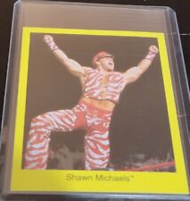 1997 SHAWN MICHAELS WWF Cardinal Yellow Trivia Game Card HBK WWE Dx  Wrestling  picture