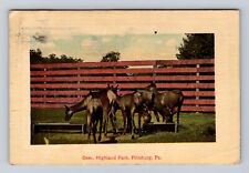 Pittsburg PA-Pennsylvania, Deer, Highland Park, Antique, Vintage c1914 Postcard picture
