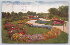 Postcard Flowers in Como Park St Paul Minnesota (844) picture
