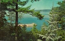 Chateau Madeleine La Pointe Wisconsin Postcard Unposted picture