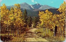Longs Peak Estes Park CO Colorado Fall Scene Autumn Yellow Mountains Postcard picture