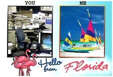 Hello From Florida, Work and Leisure Multiview Postcard picture