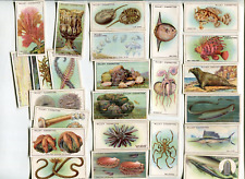 1928 W.D. & H.O. WILL'S CIGARETTES WONDERS OF THE SEA 25 DIFFERENT TOBACCO CARDS picture