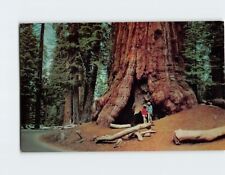 Postcard Kings Canyon National Park USA picture