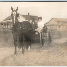 c1910s Lovely Couple Farm Carriage RPPC House Black Horse Blaze Tall Ears A245 picture