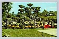 Cypress Gardens FL-Florida, The Shangri-La Tree, Antique Vintage c1981 Postcard picture