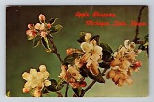 MI-Michigan, Apple Blossoms, State Flower, Vintage Postcard picture