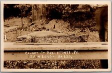 Postcard Caught at Bellefonte, Pa/Pennsylvania; Centre County RPPC Trout Ed picture