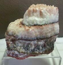 SPECTACULAR LARGE 6 INCH LAYERED ZONED CALCITE CRYSTAL QUARTZ picture