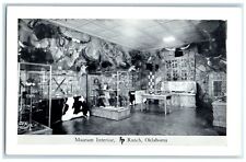 c1950's Museum Interior Taxidermy Frank Philips Ranch Woolaroc Oklahoma Postcard picture
