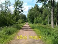 Photo 6x4 Straight path through woods near Jermyn's House  c2012 picture