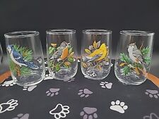 Set Of 4 Vtg American Song Bird Cocktail Juice Water Glasses picture