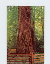 Postcard Col. Armstrong Tree Armstrong Redwoods State Reserve California USA picture