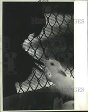 1986 Press Photo White rabbit snuggles Karen Smith's fingers at Scheinuk Florist picture