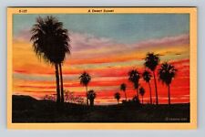 Scenic Panoramic View Desert Sunset, Antique Souvenir Vintage Postcard picture