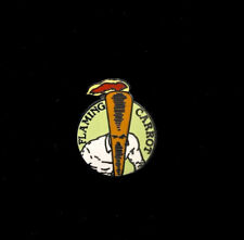 1987 FLAMING CARROT Enamel LAPEL PIN (FC #1) Graphitti Designs BOB BURDEN UT picture