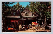 Wisconsin Dells WI-Wisconsin, Country Store, The Dells Village Vintage Postcard picture