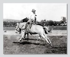 Rodeo Cowboy Riding Backwards on a Mule c1900s, Vintage Photo Reprint picture