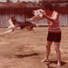 2W Photograph Action Shot Dog Jumping Doing Trick Woman Pet 1980s SIZE:2.75x3.25 picture