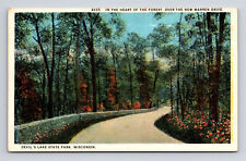 Postcard Devil's Lake State Park WI Wisconsin Warren Drive Heart of Forest picture