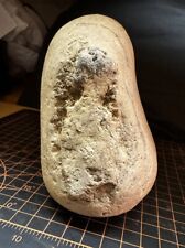 Native American Indian Artifact Pestle Grinding Stone Tool 4.5”x3.5” 1.8lbs picture