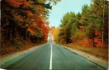 Hamilton Alabama AL Greetings Scenic Road Postcard picture