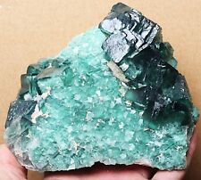 Rare Larger Particles Transparent Green Cube Fluorite Crystal Mineral Specimen picture