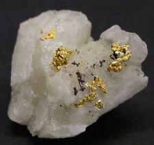 Gold specimen Crystalline Gold 2.4 Grams  Western Sahara  Assa-Zag, Morocco picture