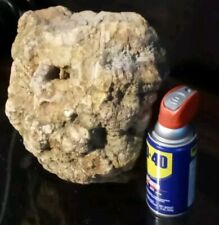 Beautiful  Large Giant 29 Pounder,  Unopened Indiana Geode picture