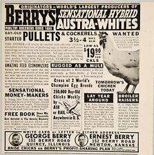 1948 Print Ad Berrys Austra White Hybrid Chickens Quincy,IL & Newton,Kansas picture