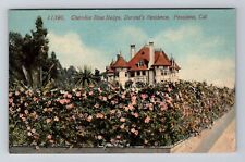 Pasadena CA-California, Cherokee Rose Hedge, Durand Residence Vintage Postcard picture
