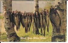 1968 Postmark Vintage Postcard GREETINGS FROM McFARLAND, Wisconsin, WI, Fishing picture