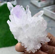 183G Natural Transparent Chrysanthemum crystal Cluster with Amethyst Specimen picture
