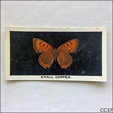 Abdulla British Butterflies #4 Small Copper 1935 Cigarette Card (CC37) picture