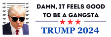 Donald Trump Mug Shot Sticker - 9X3 Donald Trump Sticker - Trump 2024 picture