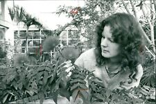 Claudia Baldus - Palm Garden - Vintage Photograph 3593424 picture