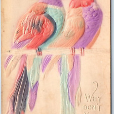 c1900s Cute Hand Colored Parrot Birds 