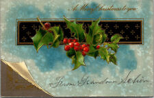 Vtg 1910s Merry Christmas Holly Berries Embossed Postcard picture