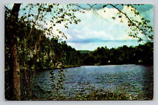 Siren Wisconsin Lake Greetings WI Posted 1957 Postcard picture