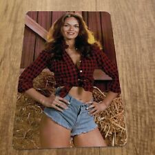 Daisy Duke Catherine Bach Dukes of Hazzard 8x12 Metal Wall Sign picture