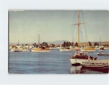 Postcard Balboa Harbor Southern California USA picture