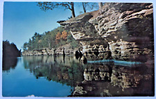 Swallows' Nests Wisconsin Dells WI Bird Habitat Rock Formation Vintage Postcard picture