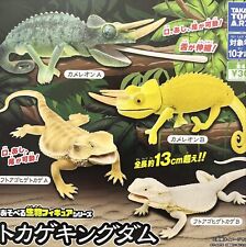 Playable Biological Figure Series Lizard Kingdom 4 Types (Gacha Complete) 726Y picture